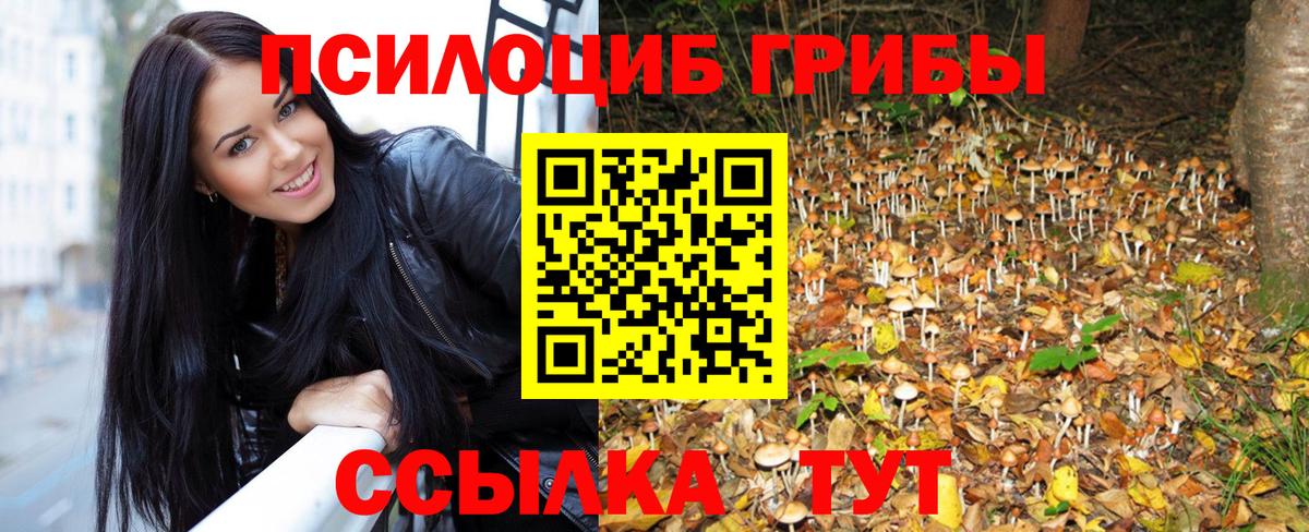 Галлюциногенные грибы прущие грибы  Галлюциногенные грибы Cubensis  Грязи  Вход с VPN 